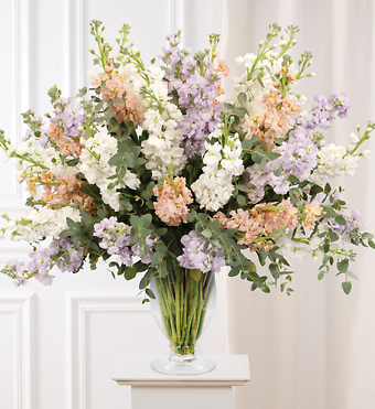 Garden of Stock Bouquet